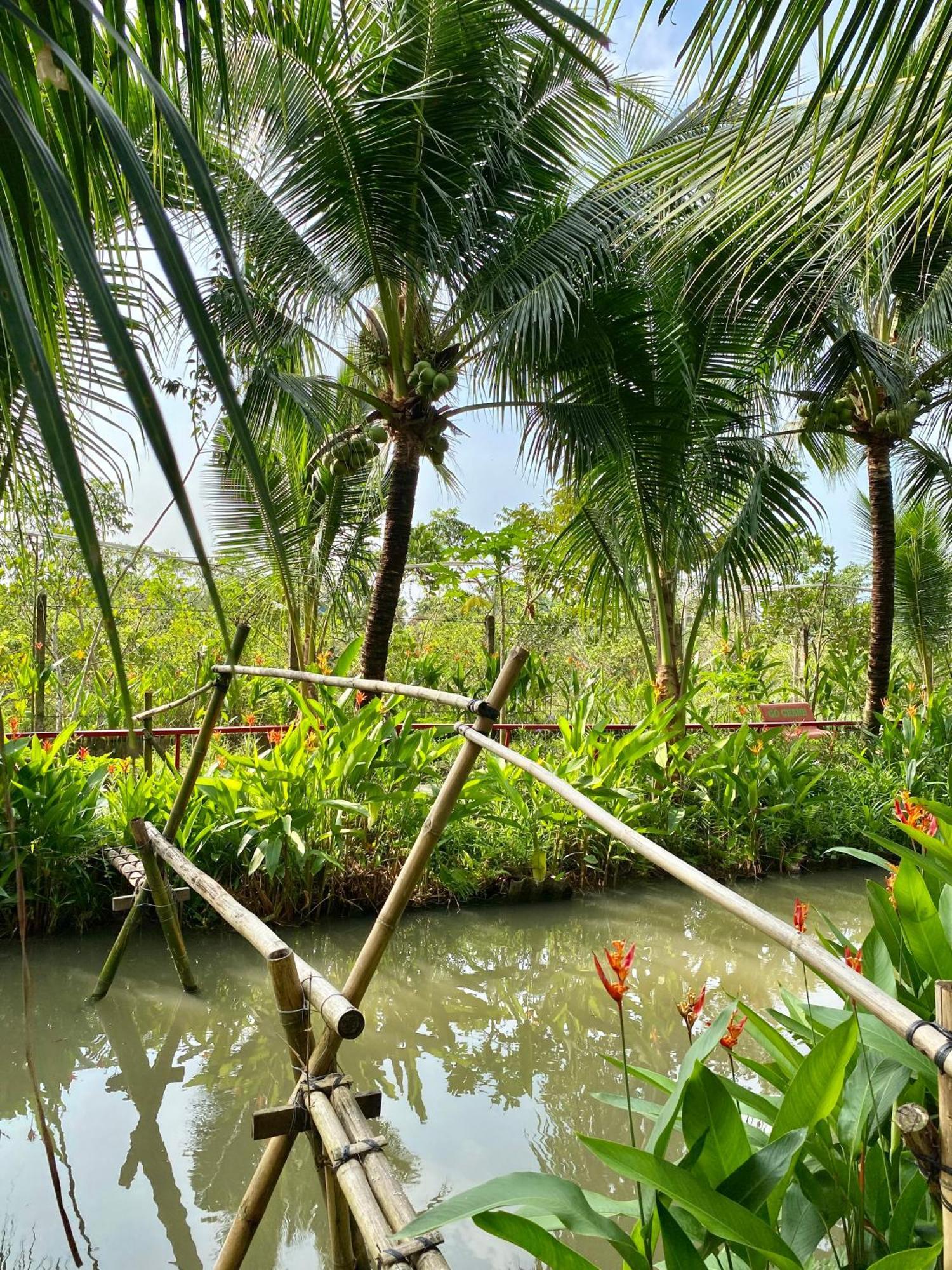 Go Chanh Homestay Cai Rang Extérieur photo